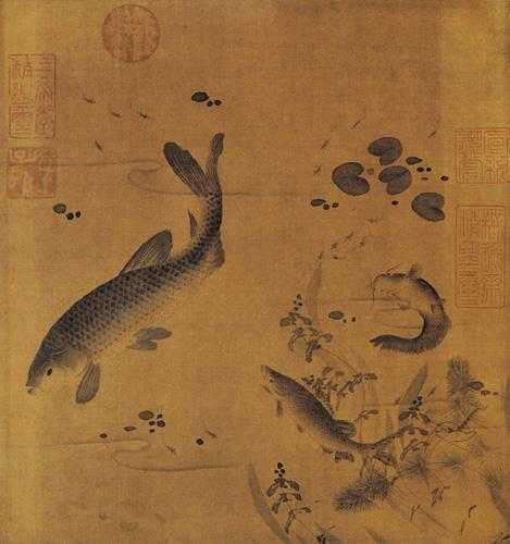 虎与鱼_黄黝鱼鰕虎鱼区别_刚果河猛鱼和虎鱼
