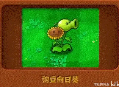 bilibili哔哩哔哩免费观看_观看免费的电视剧红箭全集_观看免费的电视连续剧