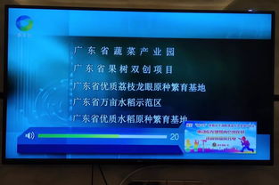 119消防安全教育家庭版 