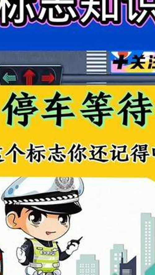 交通安全云课堂 