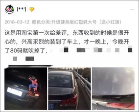 怎么样才能不当社畜:妻子的故事 