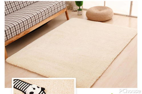 洗地毯我最强(Carpetclean) 洗地毯我最强(Carpetclean)
