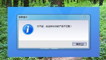 蛋里有什么 