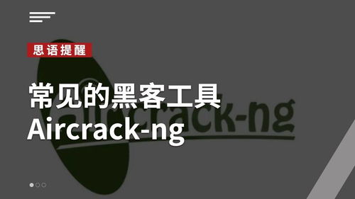 思语app手机版 