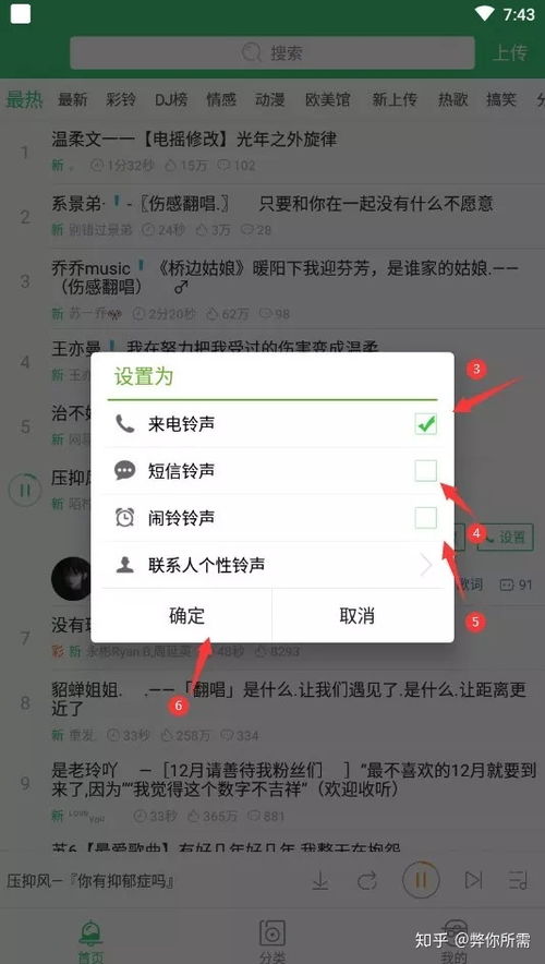 你叫什么鸭 